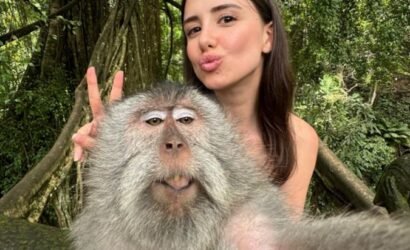 Half Day Ubud Tour Ubud Unique Spots