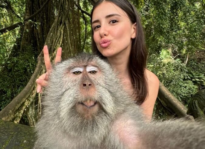 Half Day Ubud Tour Ubud Unique Spots