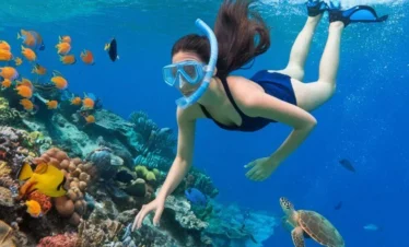 Snorkling Tour