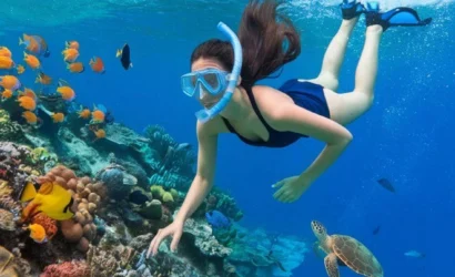 Snorkling Tour
