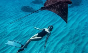 Special Snorkling + West Tour
