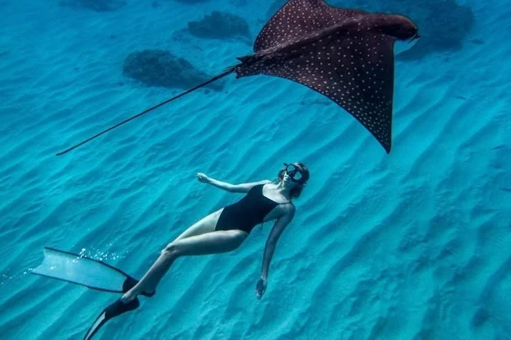 Special Snorkling + West Tour