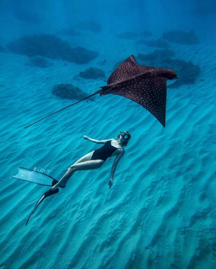 Special Snorkling + West Tour