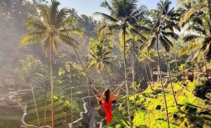 Swing Bali Vista Tours rice terrace 2
