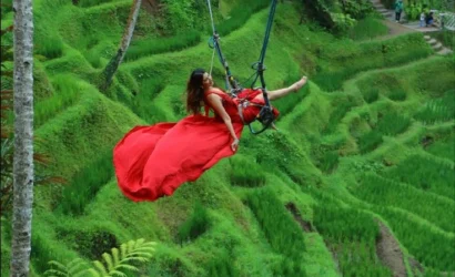 Swing Bali Vista Tours rice terrace 3