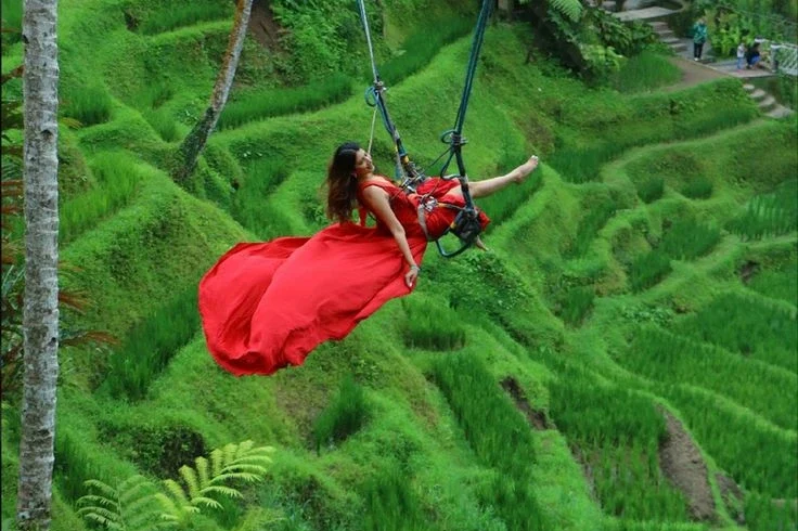 Swing Bali Vista Tours rice terrace 3