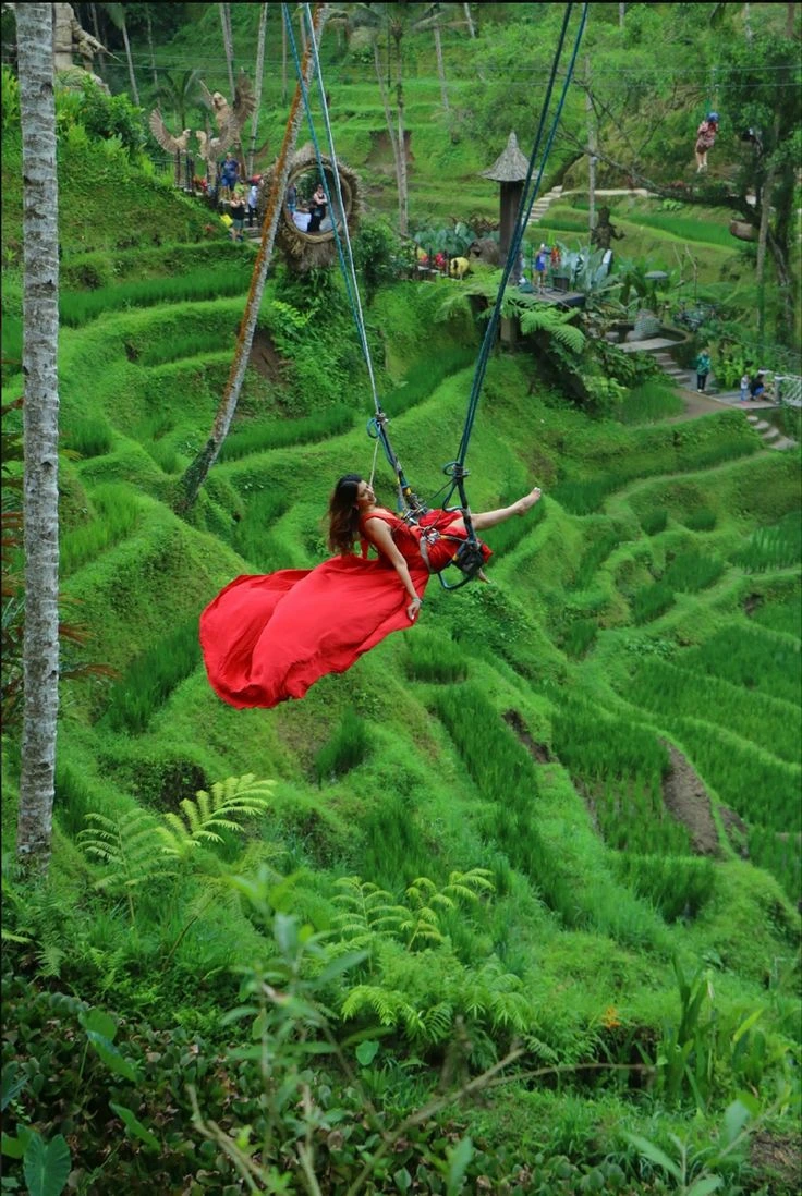Swing Bali Vista Tours rice terrace 3